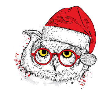 Cute owl in Christmas hat and sunglasses. Vector illustration.