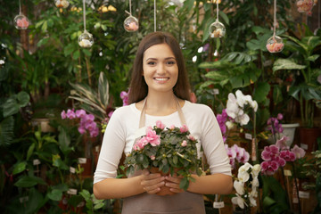 Pretty young florist holding pot with azalea in greenhouse