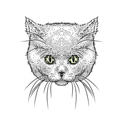Beautiful cat. Vector illustration for a card or poster. Illustration for prints on clothes. Design. Cute kitten.