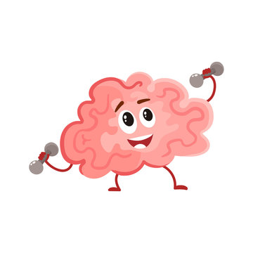 Funny smiling brain training with dumbbells, cartoon vector illustration on white background. Cute brain character lifting weights as a symbol of education, training and development