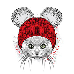 Cute cat in a hat. Illustration for a card or poster. Vector illustration. Cat.