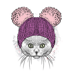 Cute cat in a hat. Illustration for a card or poster. Vector illustration. Cat.