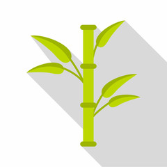 Bamboo icon. Flat illustration of bamboo vector icon for web design