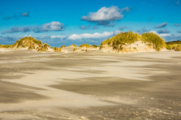 Landschaft mit Dünen auf der Insel Amrum