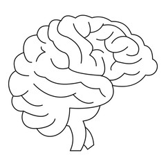 Brain icon. Outline illustration of brain vector icon for web