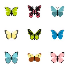 Obraz na płótnie Canvas Butterfly icons set. Flat illustration of 9 butterfly vector icons for web