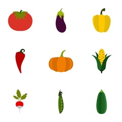 Fototapeta premium Orchard vegetables icons set. Flat illustration of 9 orchard vegetables vector icons for web