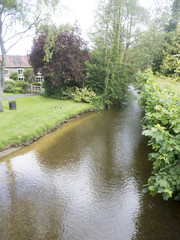 Fototapeta premium River on a summers day