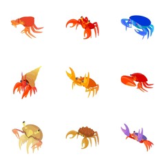 Naklejka premium Omar icons set. Cartoon illustration of 9 omar vector icons for web