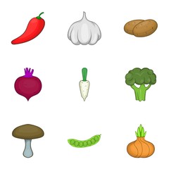 Vegetable culture icons set. Cartoon illustration of 9 vegetable culture vector icons for web