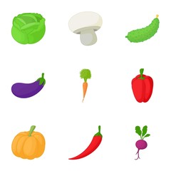 Fresh vegetables icons set. Cartoon illustration of 9 fresh vegetables vector icons for web