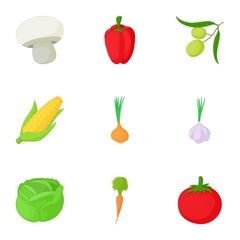 Farm vegetables icons set. Cartoon illustration of 9 farm vegetables vector icons for web