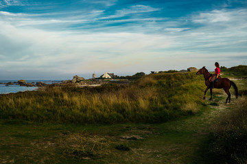 F, Bretagne, Finistère, an der Pointe de Pontusval