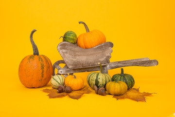 Group of orange and green pumpkins with a wooden wheelbarrow on a yellow background