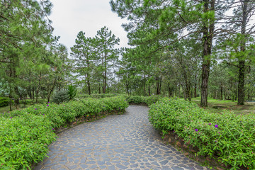 Stone walkway in the park.