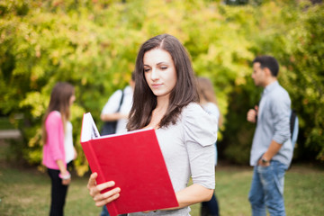 Fototapeta premium Smiling student outdoor portrait