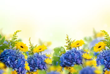 Vlies Fototapete Hortensie Erstaunlicher Hintergrund mit Hortensien und Gänseblümchen. Gelbe und blaue Blumen auf einem weißen Leerzeichen. Blumenkarte Natur. Bokeh-Schmetterlinge.