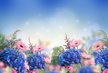 Plakat Amazing background with hydrangeas and daisies. Yellow and blue flowers on a white blank. Floral card nature. bokeh butterflies.