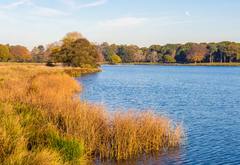 Late early morning sunshine at Tatton Lake, Tatton Park, Knutsford, Cheshire, UK