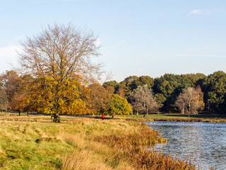 Late early morning sunshine at Tatton Lake, Tatton Park, Knutsford, Cheshire, UK