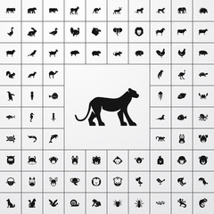 panther icon illustration © vxnaghiyev