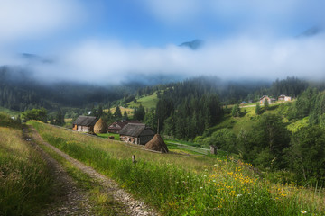 Ukraine. Carpathians. Dzembronya. The road to the village.