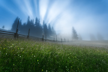 Ukraine. Carpathians. Dzembronya. The first rays of the sun