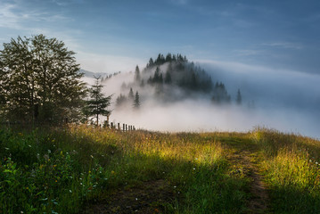 Ukraine. Carpathians. Dzembronya. Foggy morning