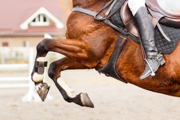 Close up image of jumping horse over hurdle