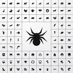 spider icon illustration