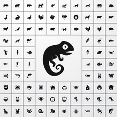 chameleon icon illustration © vxnaghiyev