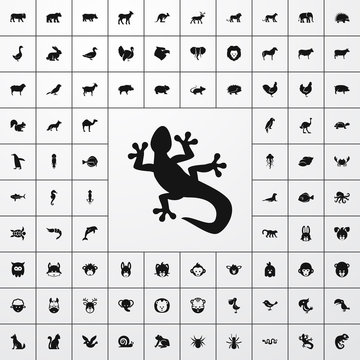 lizard icon illustration