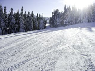 Fototapeta premium sunny weather in the land of ice