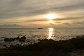 Boulders Beach, Cape Town. 