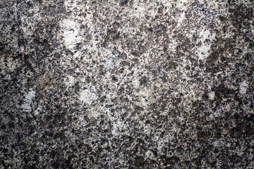 Stone texture or stone background. Stone wall for design with copy space for text or image.