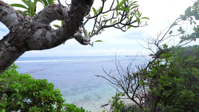 Ocean from the cliffs. Many beautiful asian plants and trees. Sunny day, amazing clouds. Quiet place. Bali, Indonesia.