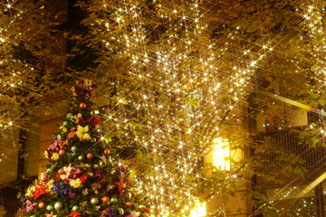クリスマスイルミネーション