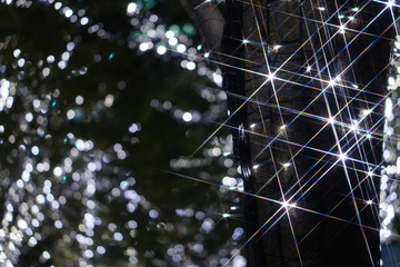 クリスマスイルミネーション