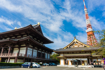 Naklejka premium Zojo-ji Temple behide with Tokyo Tower in the Morning