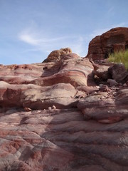Fototapeta na wymiar Jordanie : désert de pierre, grès multicolore