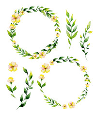Watercolor yellow flower and herbs circle set. May be used for Easter textile decoration print, invitation card, spring wedding decor or wrapping paper design