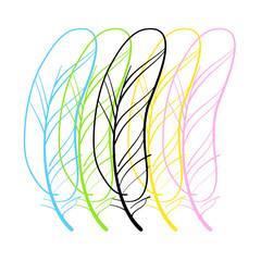 Obraz premium feather_template