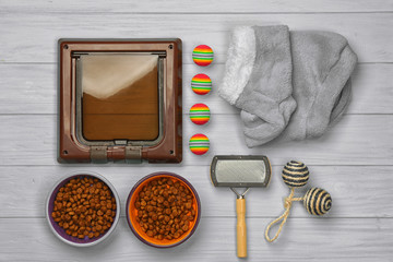 Pet accessories on wooden background