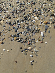 Sand background with sea pebbles