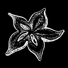 Starfruit. Vector hand drawn illustration. Sketchy style. Chalkboard drawing.