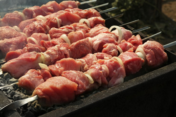 Raw barbecue in brazier outdoors