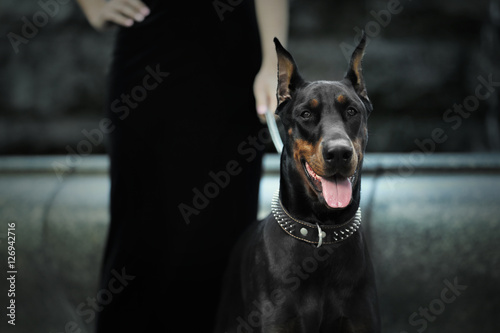 best leash for doberman