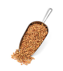 Lentil in metal scoop isolated on white