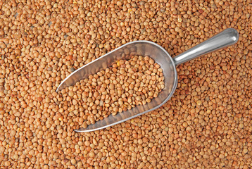 Lentil and metal scoop on wooden table closeup