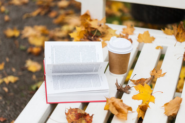 open book and coffee cup on bench in autumn park